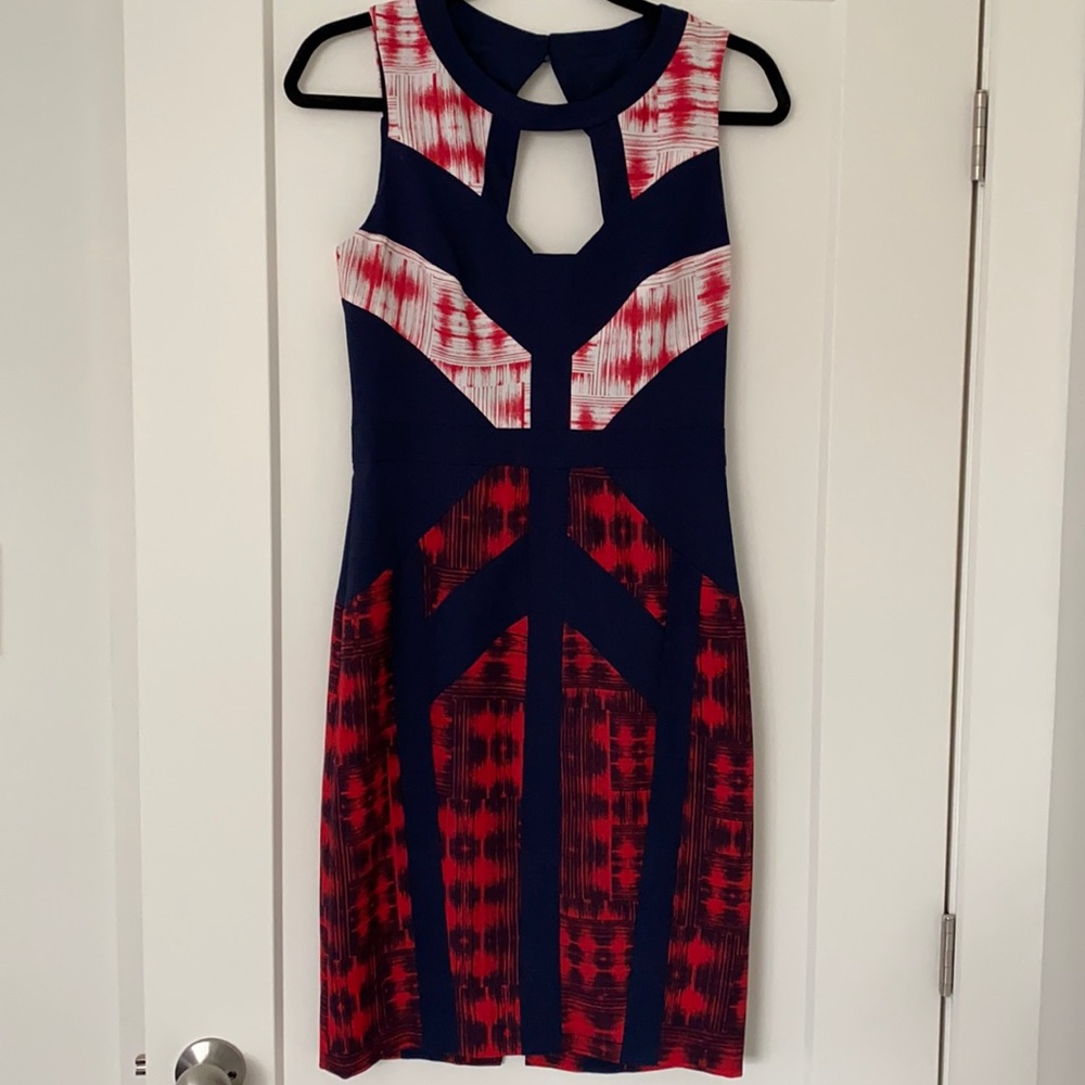 BCBG averie dress